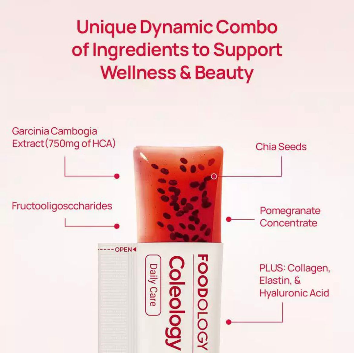 Foodology Celeology Cutting Jelly - Image 3